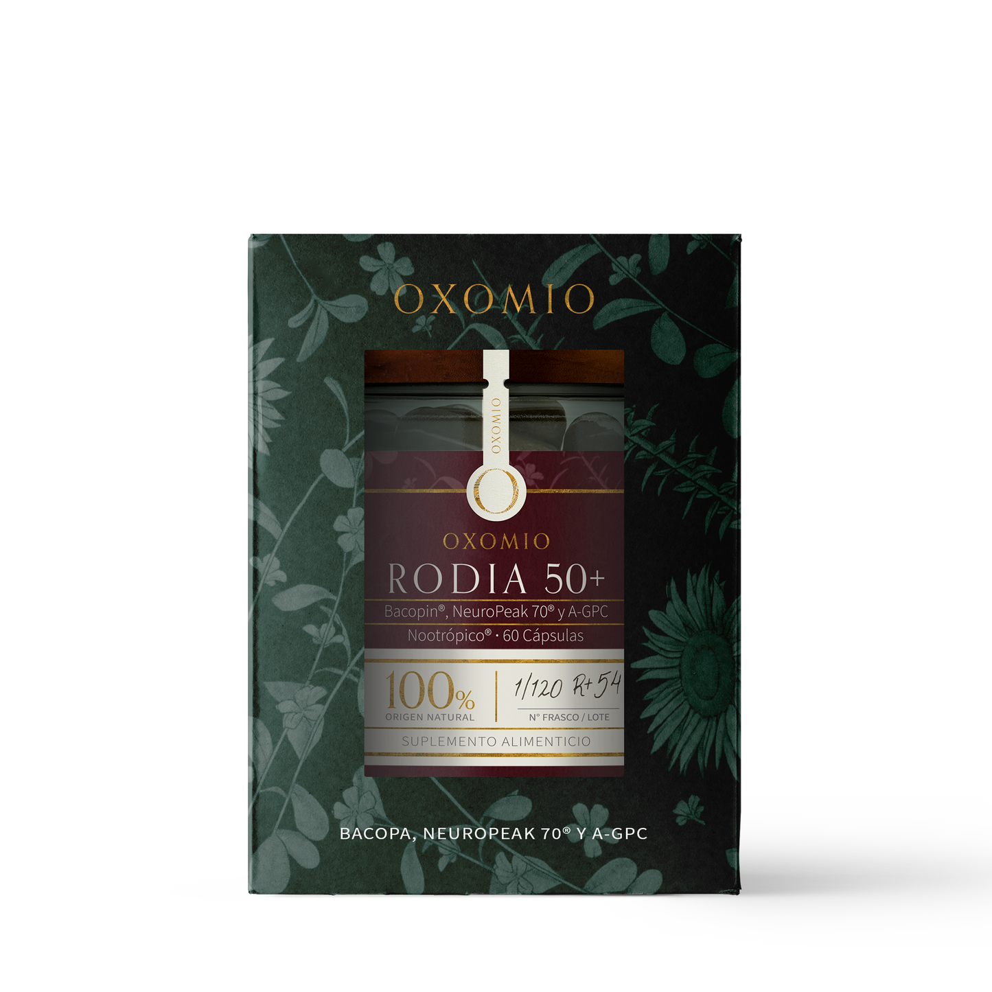 Box_Rodia50_60