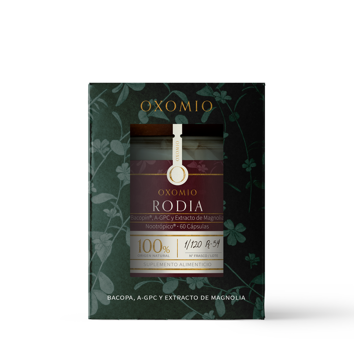 Box_Rodia_60